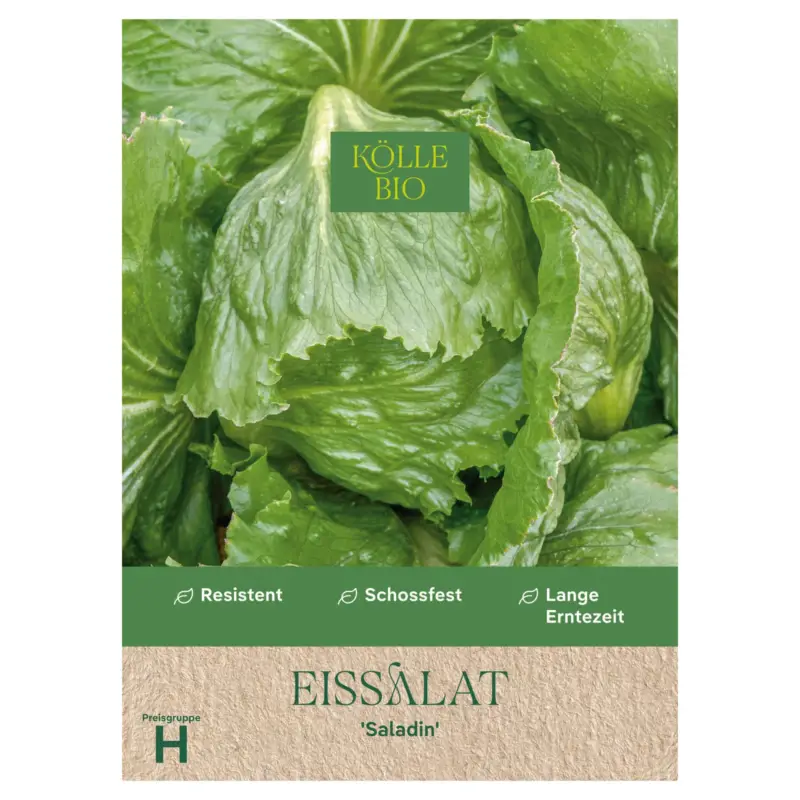 Online Kaufen Kölle Bio Gemüsesamen, Eissalat 'Saladin'
