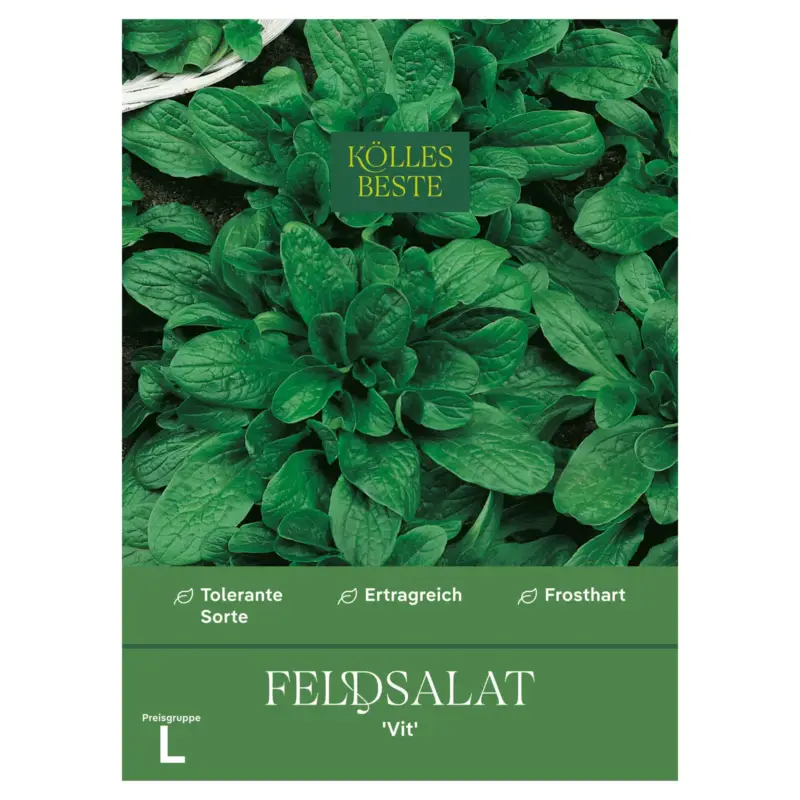 Kölles Beste Gemüsesamen, Feldsalat 'Vit' Abverkauf