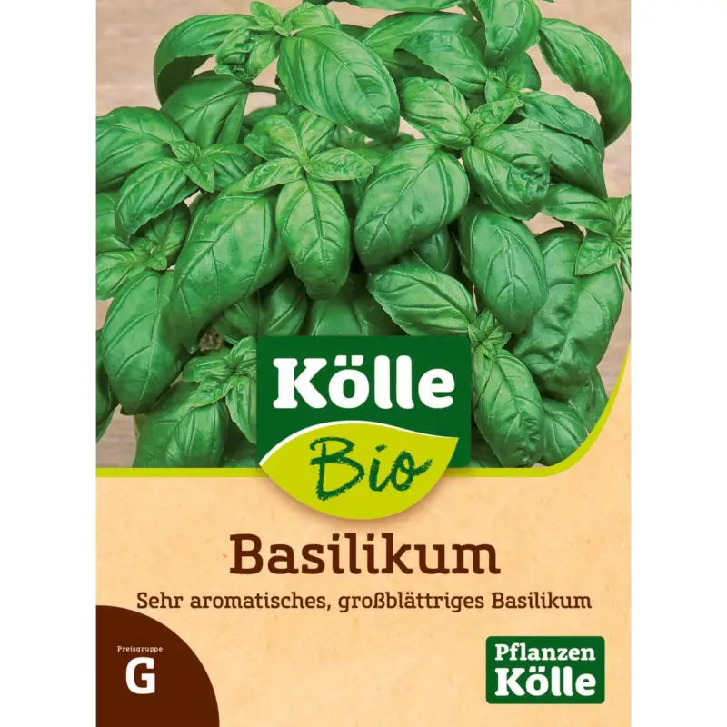 Bio Basilikum 'Genoveser' Abverkauf