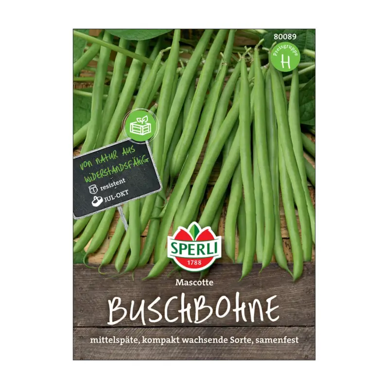Mega-Angebot Gemüsesamen, Buschbohne 'Mascotte'