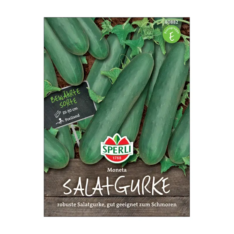 Preisknaller Gemüsesamen, Salatgurke 'Moneta'