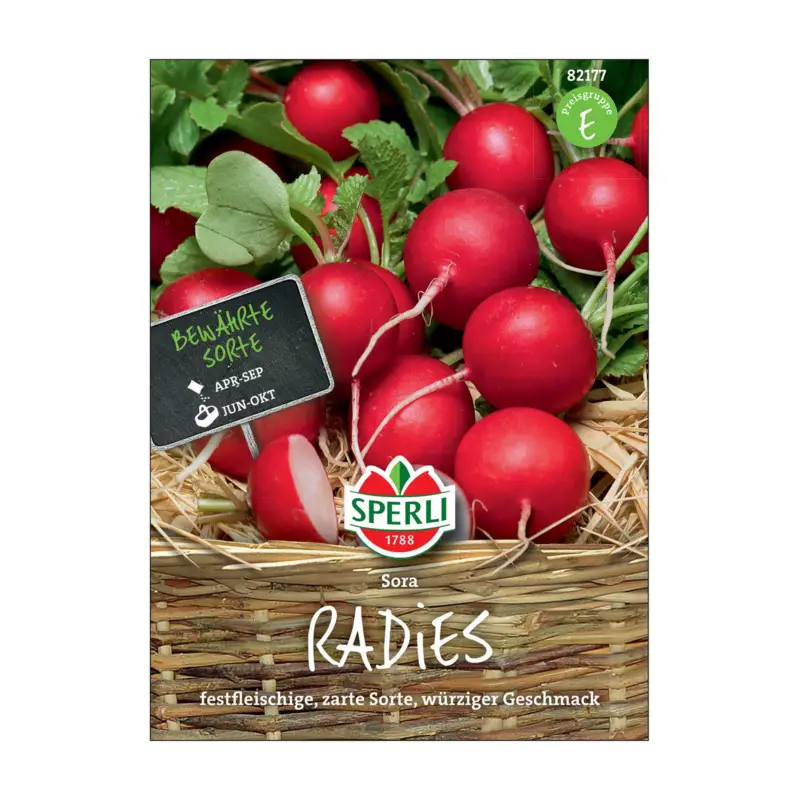 Neuheit Gemüsesamen, Radies 'Sora'