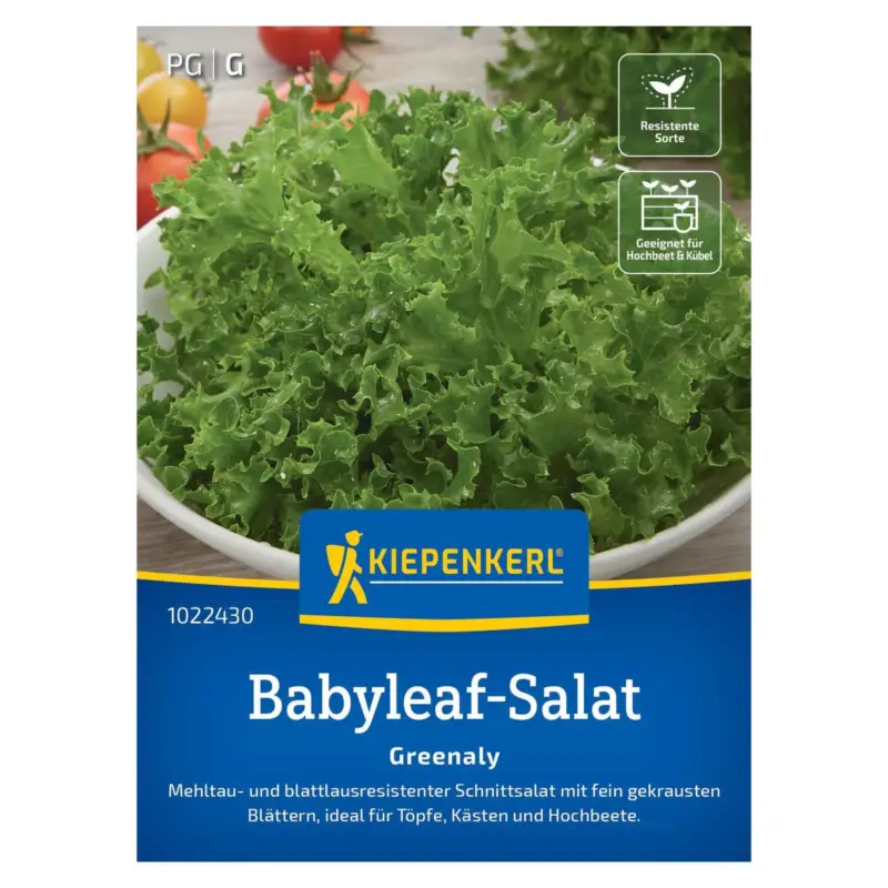 Günstig Saatgut, Schnittsalat 'Greenlay'