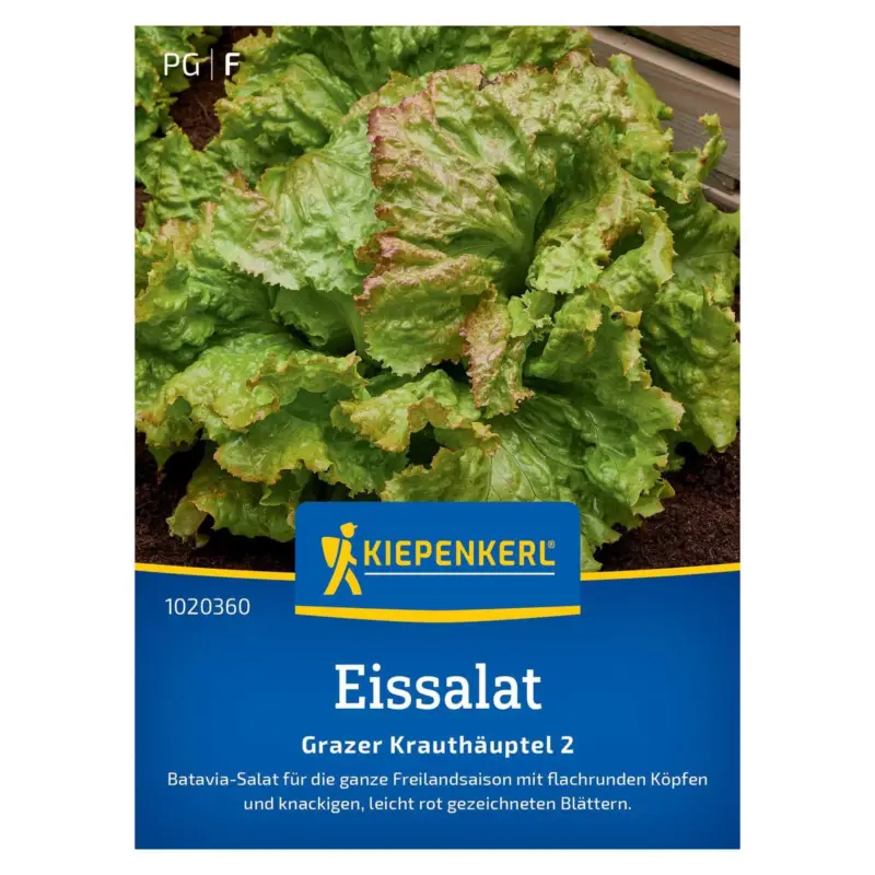 Zertifiziert Saatgut, Eisbergsalat 'Grazer Krauthäuptel'