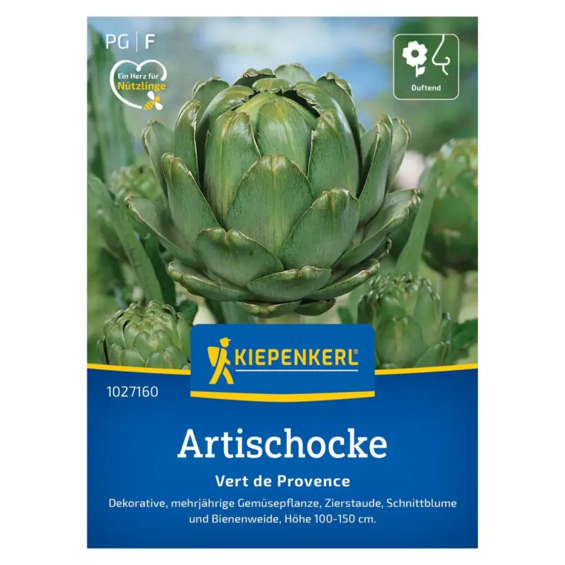 Top-Angebot Saatgut, Artischocke 'Vert de Provence'