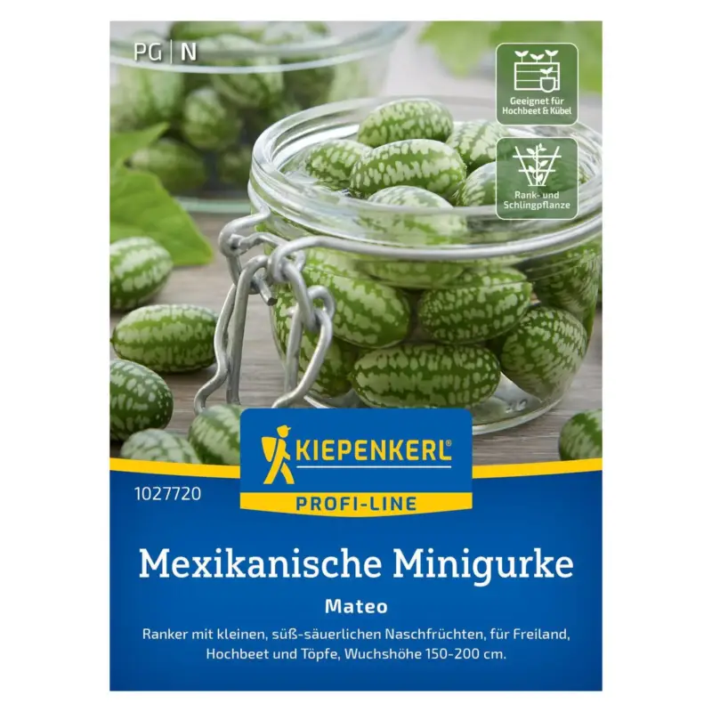 Letzte Chance Saatgut, Mexikanische Minigurke 'Mateo'