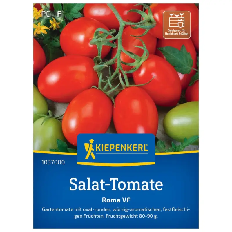 Kracherpreis Gemüsesamen, Salat-Tomate 'Roma'