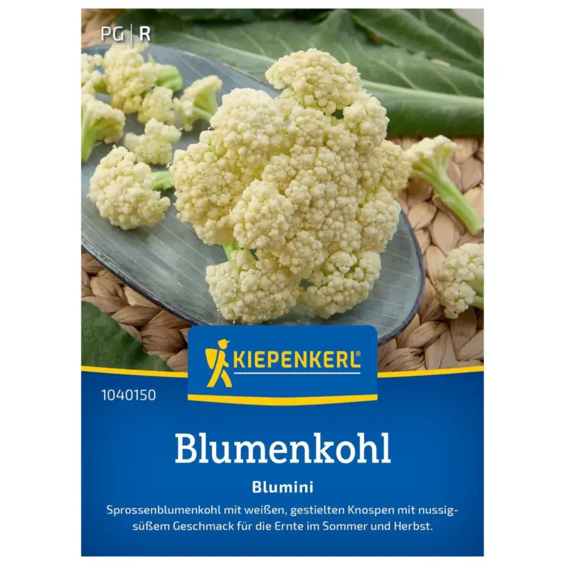 Gemüsesamen, Sprossenblumenkohl 'Blumini' Kracherpreis