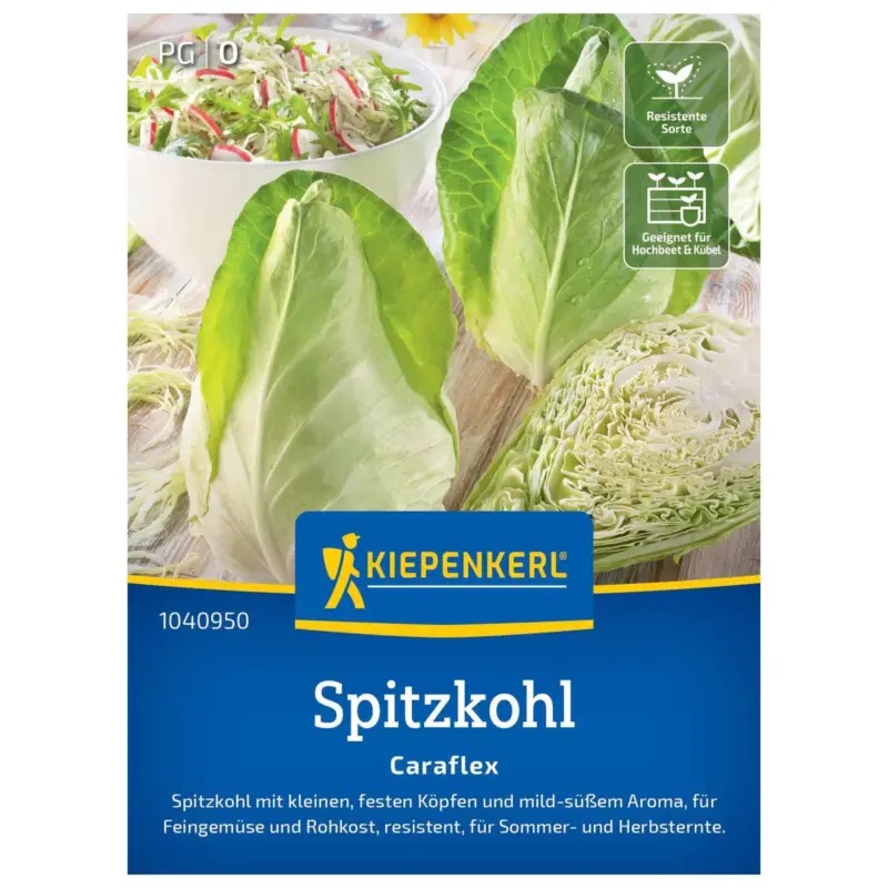 Mega-Angebot Gemüsesamen, Spitzkohl 'Caraflex'