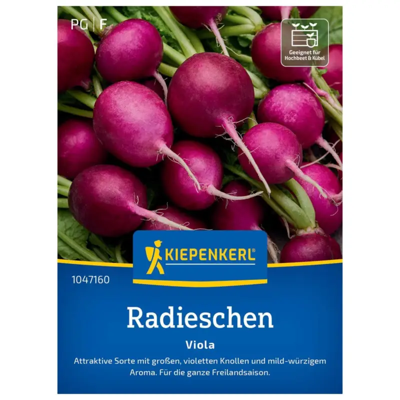 Wochenendangebot Saatband, Radieschen 'Viola'