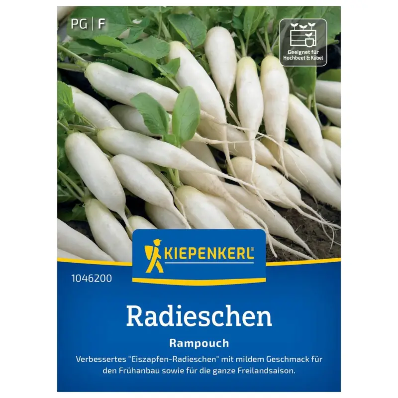 Nur Für Kurze Zeit Gemüsesamen, Radieschen 'Rampouch'