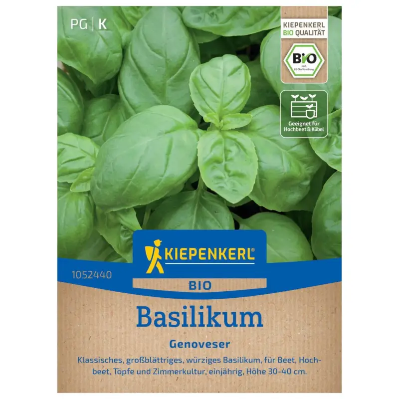 Gemüsesamen, BIO-Basilikum Nur Für Kurze Zeit