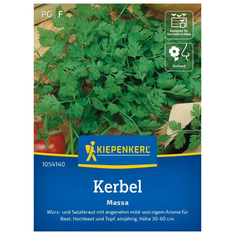 Gemüsesamen, Kerbel 'Massa' Sofort Bestellen