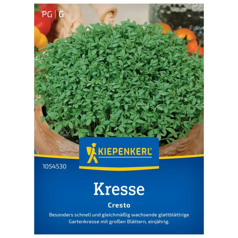 Kressesamen, Kresse 'Cresto' Angebot