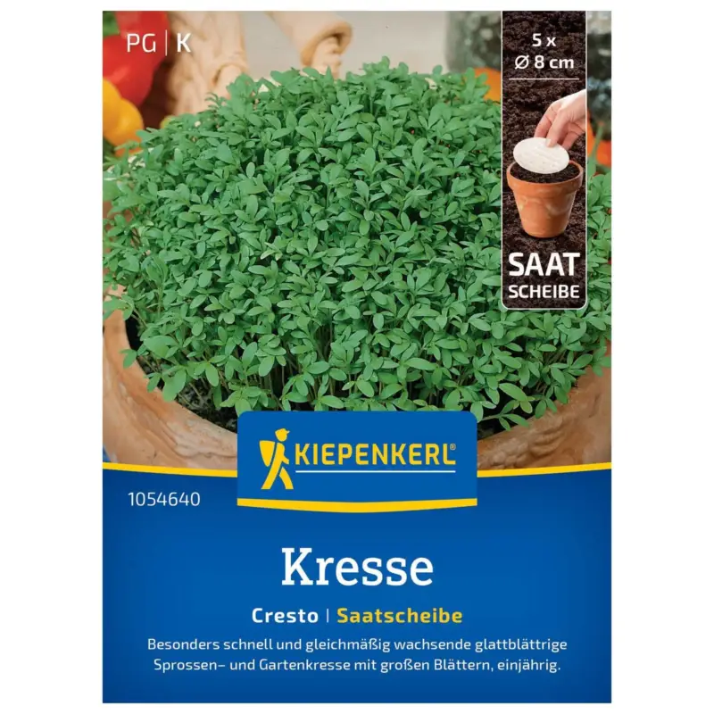 Saatscheibe, Kressesamen, Kresse 'Cresto' Top-Seller