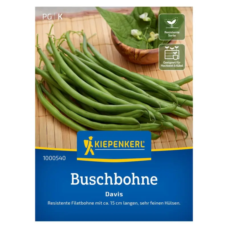 Direkt Vom Hersteller Saatgut, Buschbohne 'Davis'