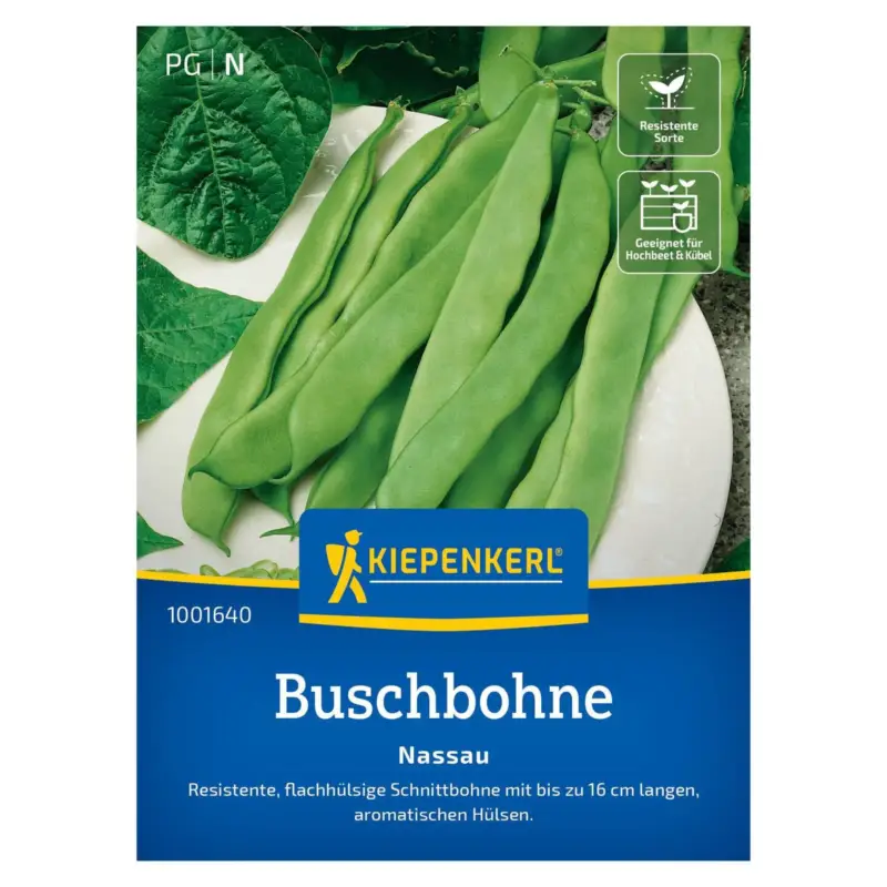 Neuheit Saatgut, Buschbohne 'Nassau'