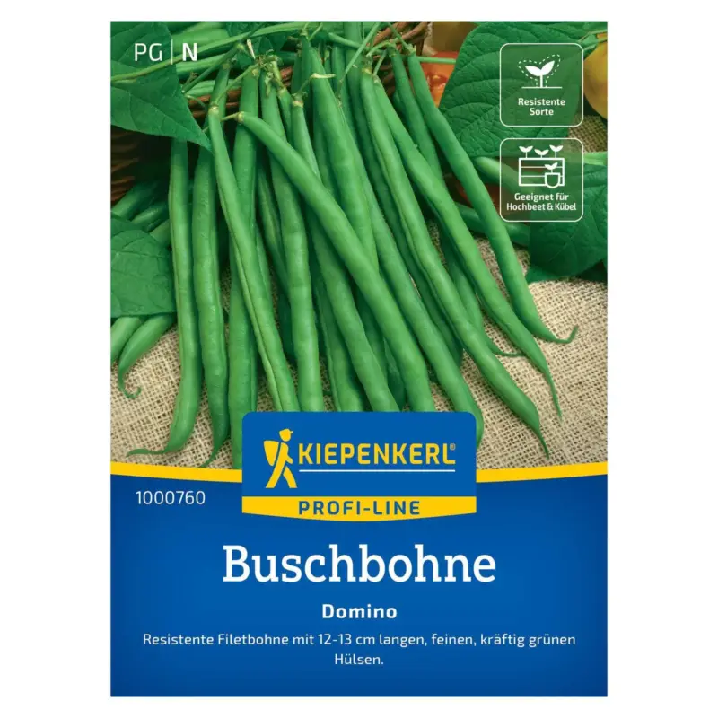 Rabatt Saatgut, Buschbohne 'Domino'