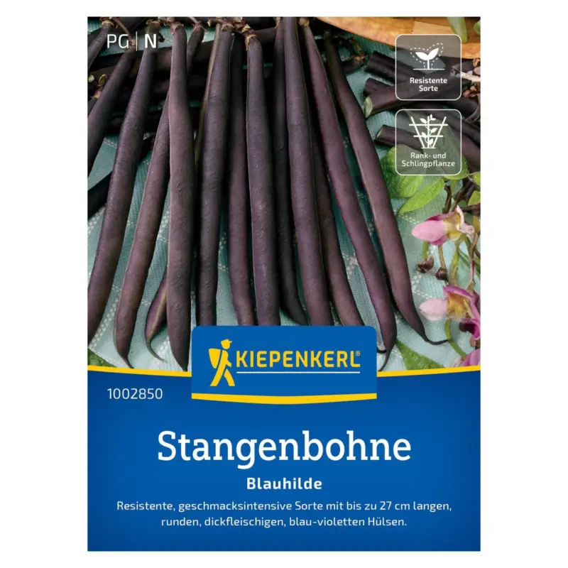 Saatgut, Stangenbohne 'Blauhilde' Meistverkauft