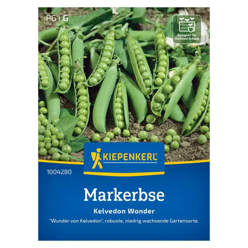 Wochenendangebot Saatgut, Markerbse 'Kelvedon Wonder'