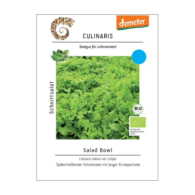 Saatgut, Eichblattsalat, Schnittsalat 'Salad Bowl' Sofort Bestellen