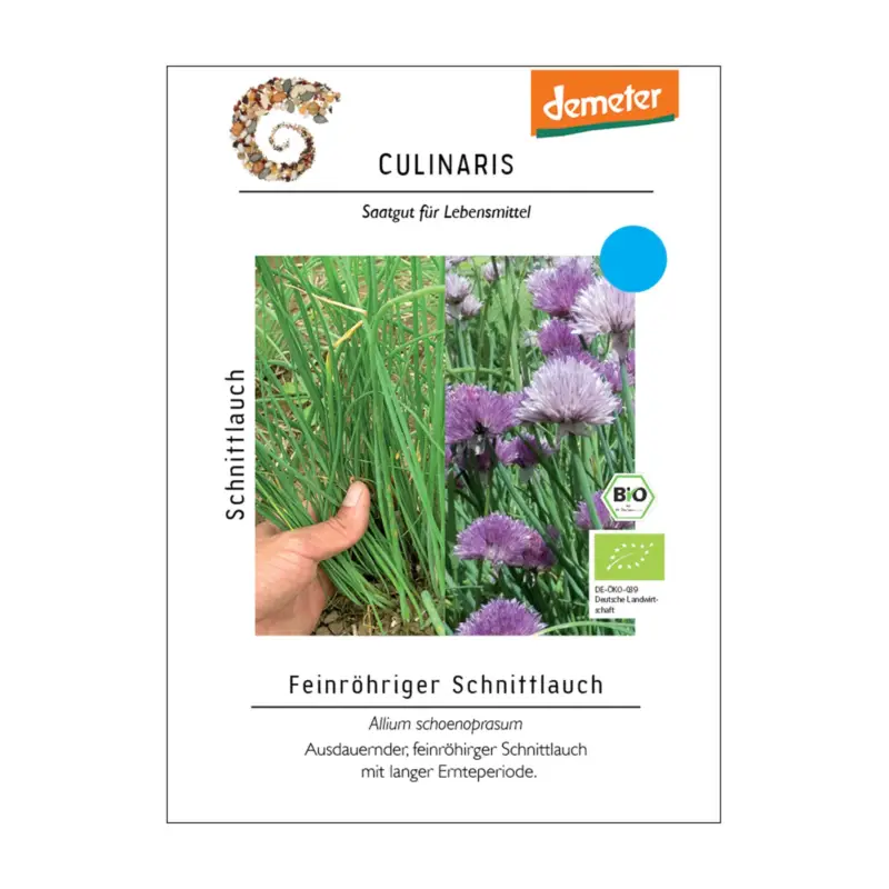Direktkauf Saatgut, Schnittlauch 'Bellarisa'