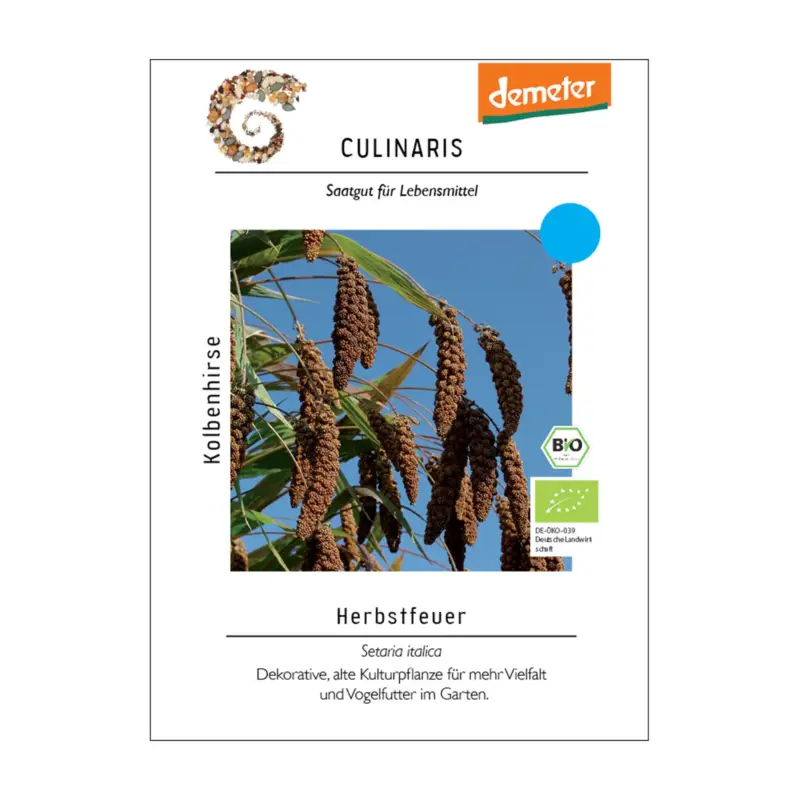 Top-Seller Saatgut, Kolbenhirse 'Herbstfeuer'
