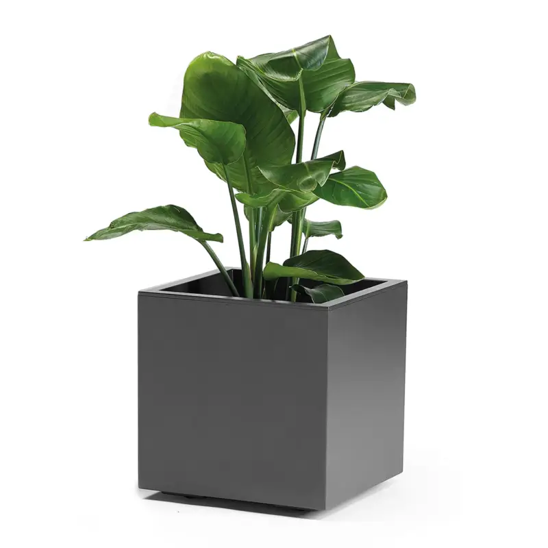 Zertifiziert Euro 3 Plast Pflanzkasten 'Kebe', anthrazit, ca. 39,5 x 39,5 x H 39,5 cm
