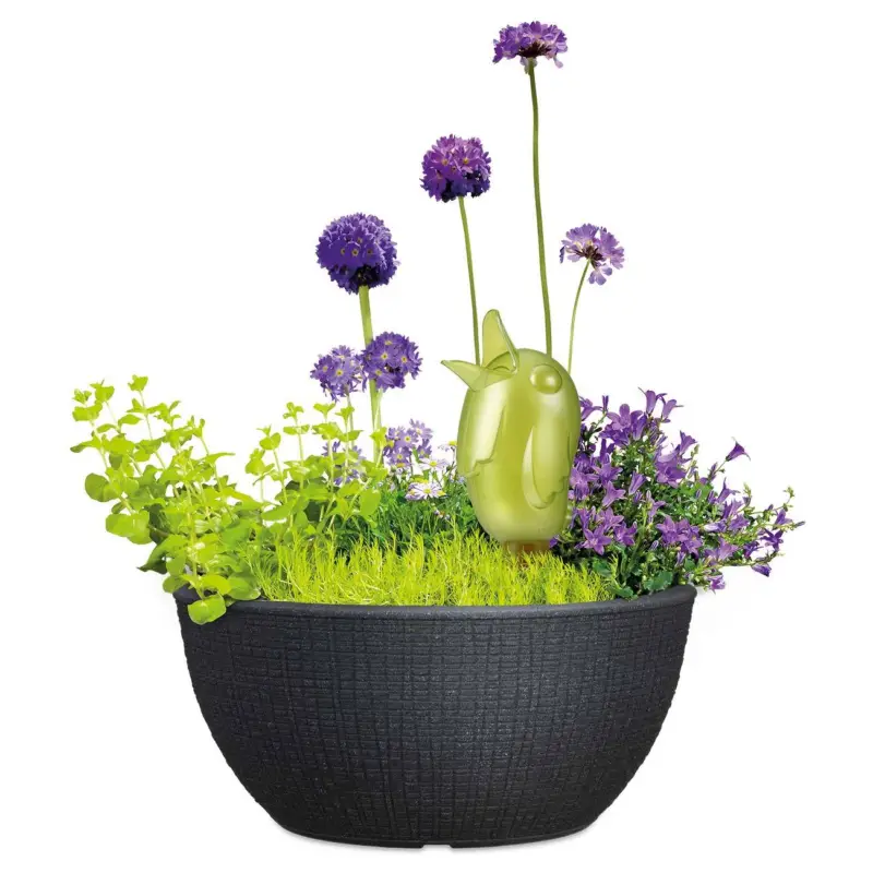 Scheurich Pflanzschale 'Barceo', steinschwarz, ca. 39 x 39 x H 18 cm Sofort Bestellen