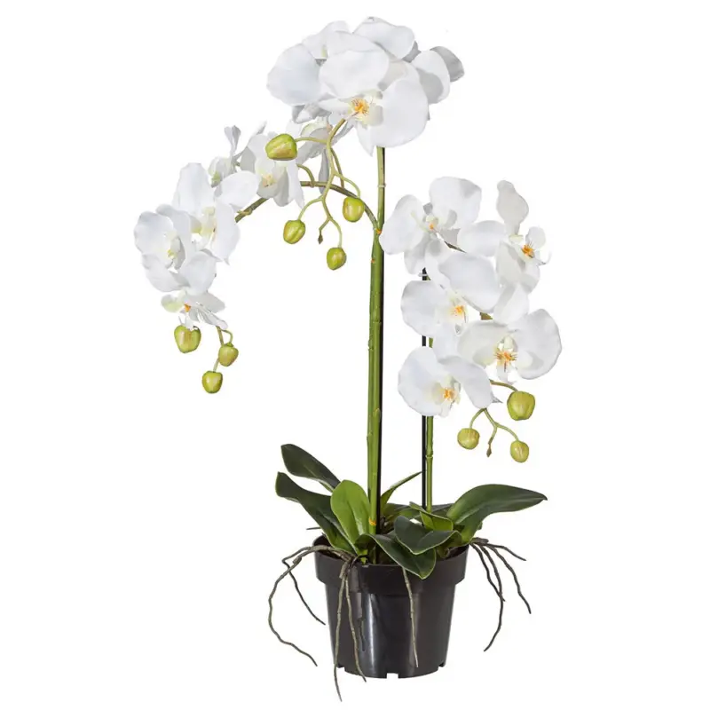 Super-Preis Kunstpflanze Orchidee Phalaenopsis, weiß, Höhe ca. 62 cm