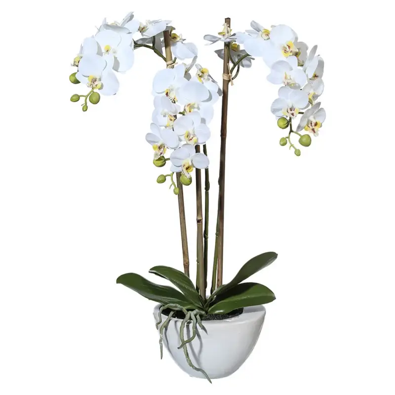 Kunstpflanze Mini-Orchidee Phalaenopsis, weiß, Höhe ca. 51 cm Mega-Angebot