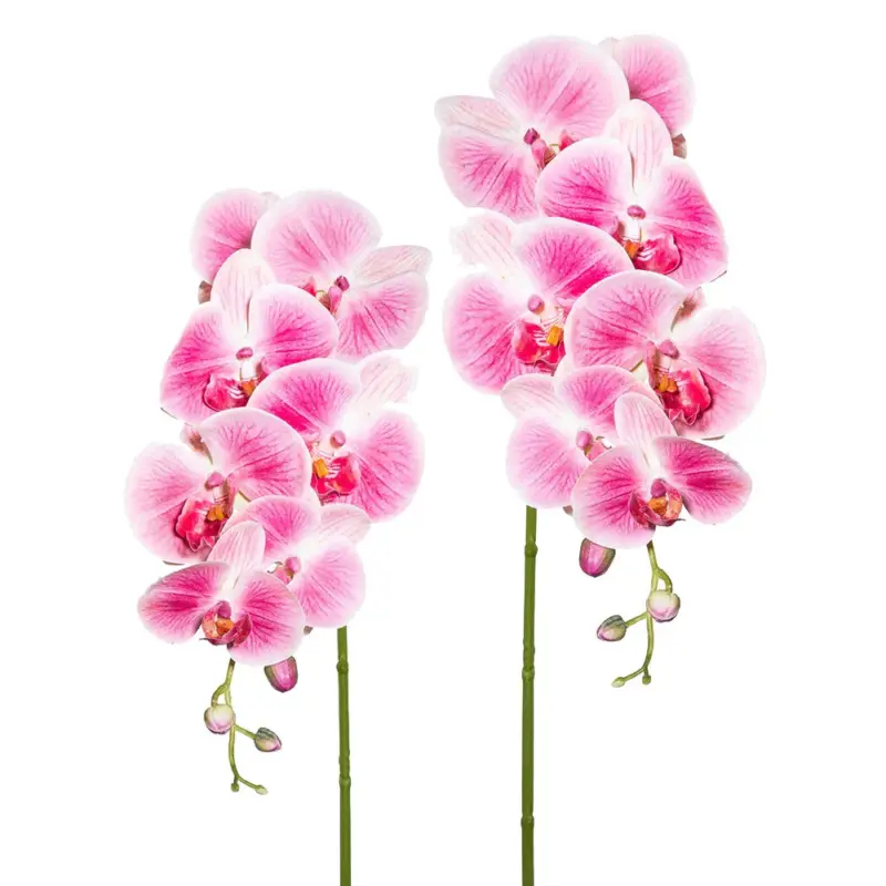 Kunstpflanze Orchideenzweig, dunkelrosa, Höhe ca. 87 cm, 2 Stück Online Kaufen