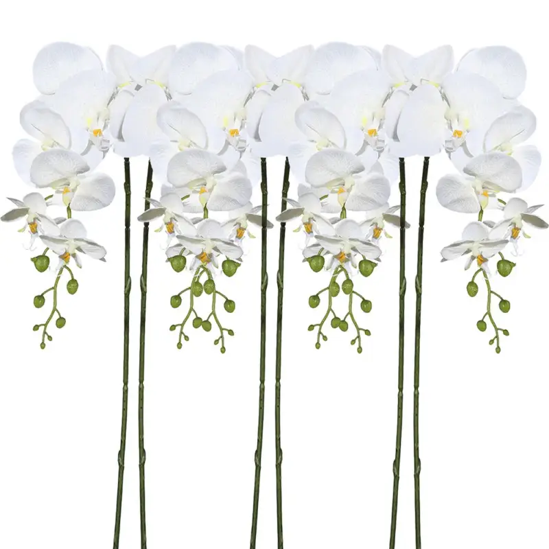 Direkt Vom Hersteller Kunstpflanze Orchideenzweig, creme, Höhe ca. 86 cm