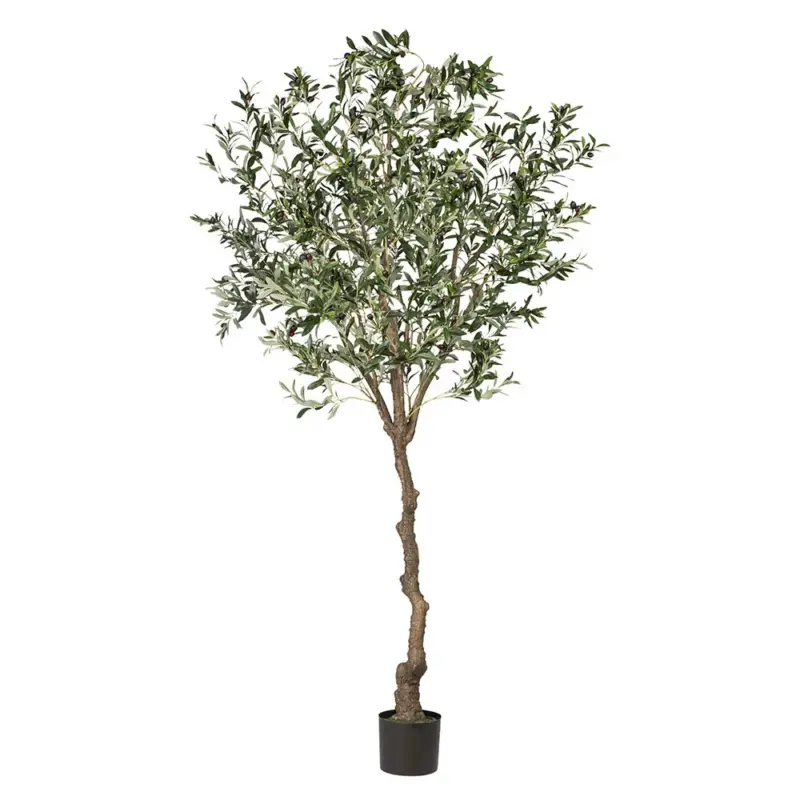 Highlight Kunstpflanze Olivenbaum, Höhe ca. 240 cm