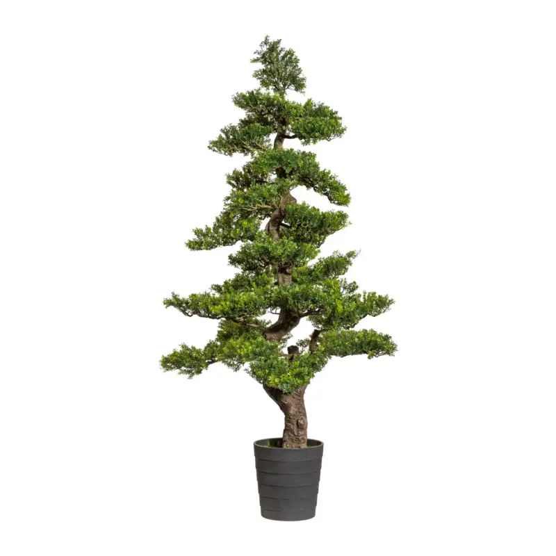 Schneller Versand Kunstpflanze Bonsai Teeblatt, Höhe ca. 160 cm