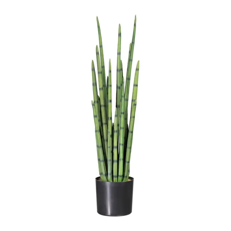 Bestpreis Kunstpflanze Sansevieria cylindrica, Höhe ca. 100 cm