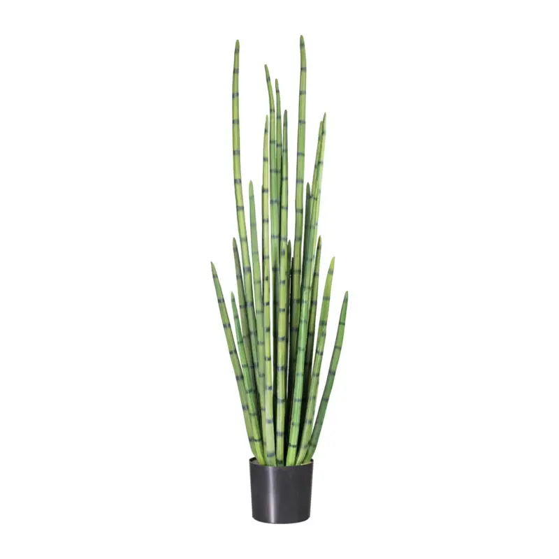 Kunstpflanze Sansevieria cylindrica, Höhe ca. 140 cm Jetzt Bestellen