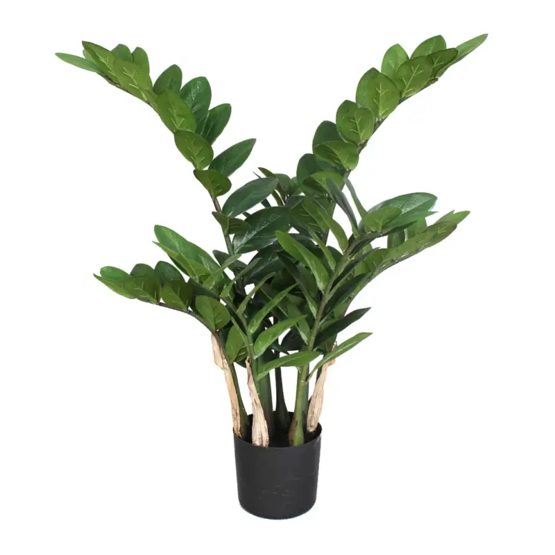 Sofort Bestellen Kunstblume Zamifolia, Höhe ca. 70 cm