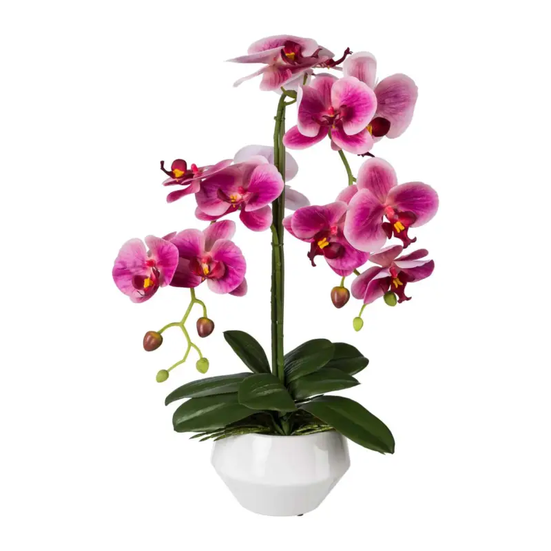 Künstliche Orchidee Phalaenopsis, fuchsia, Höhe ca. 52 cm Sale