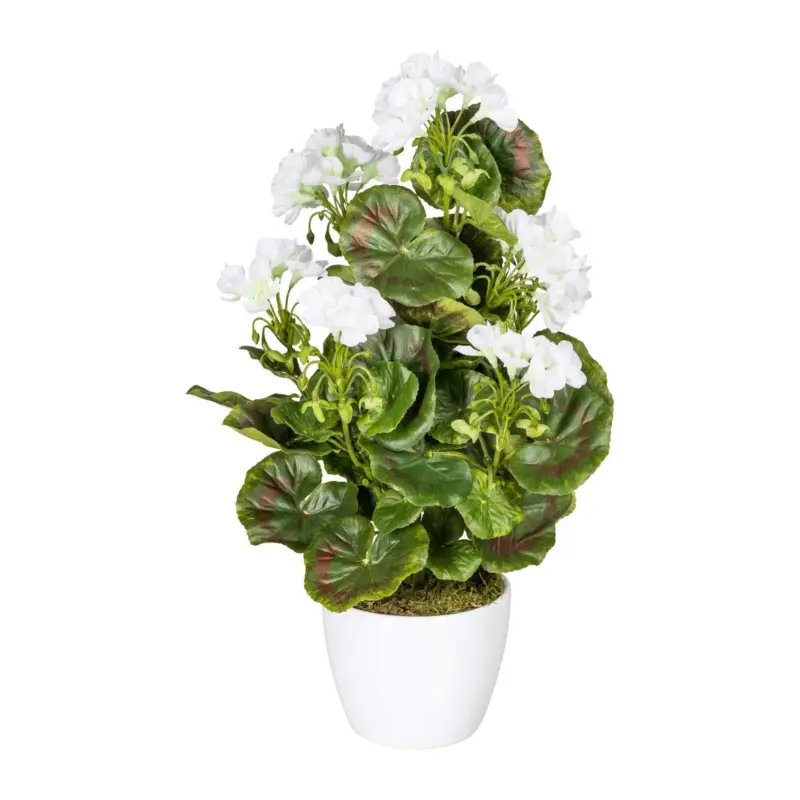 Heißes Angebot Kunstpflanze Geranienbusch, weiß, Höhe ca. 40 cm