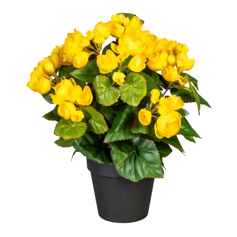 Angebot Kunstpflanze Begonienbusch, gelb, Höhe ca. 35 cm
