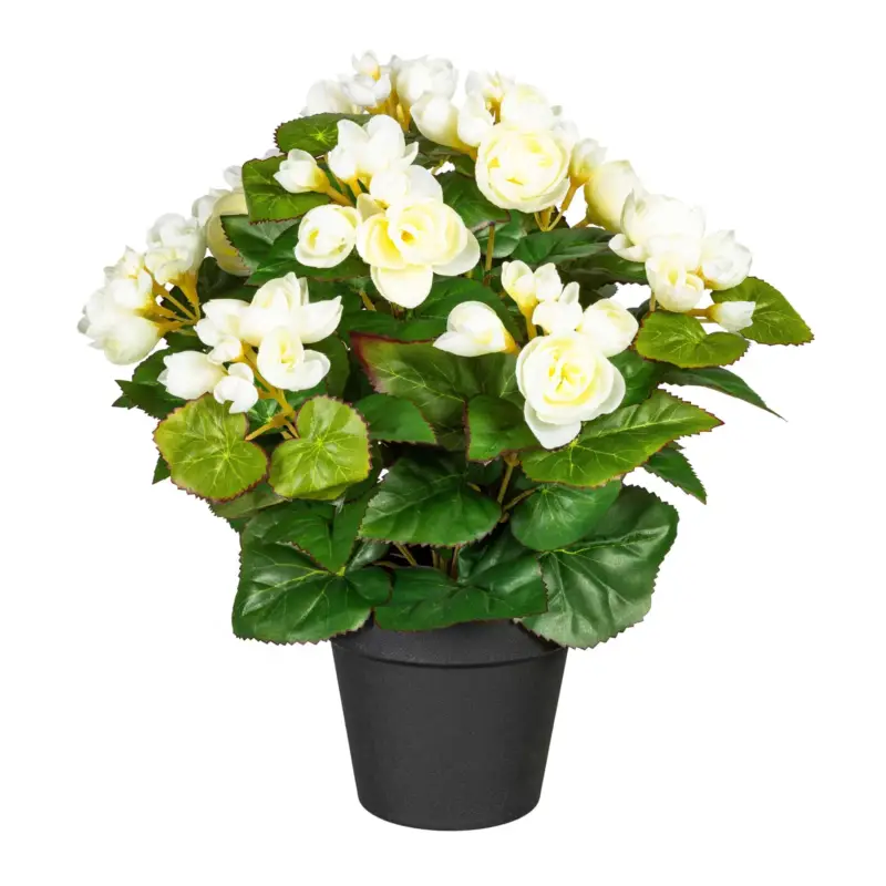 Kunstpflanze Begonienbusch, creme, Höhe ca. 35 cm Sale