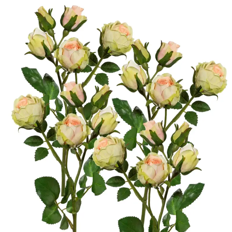 Echt Kunstpflanze Polyantarose, apricot, Höhe ca. 39 cm, 4 Stück