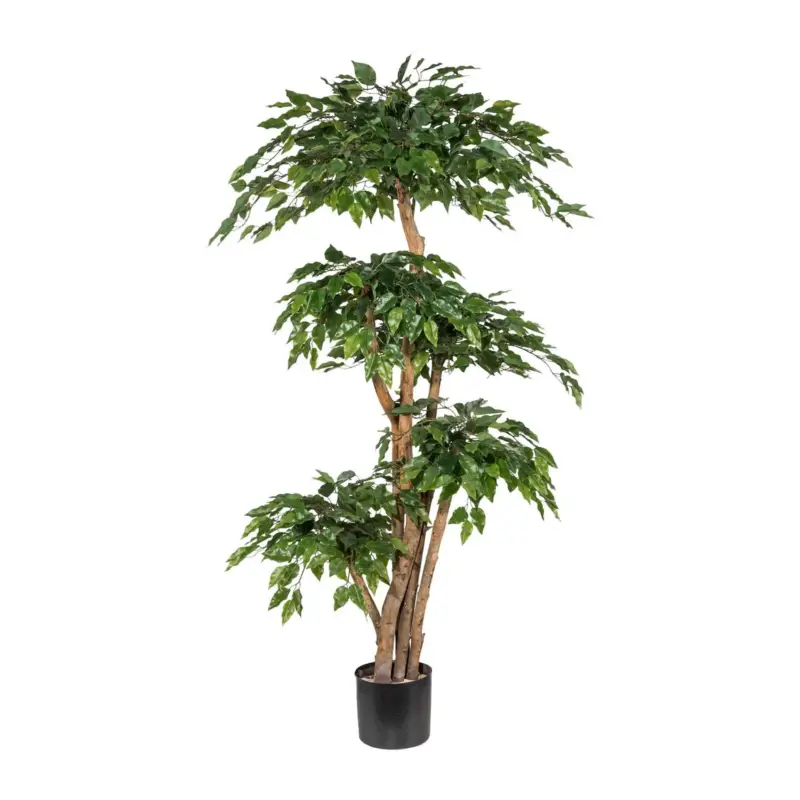 Expressversand Kunstpflanze Ficus Benjamini, Höhe ca. 160 cm