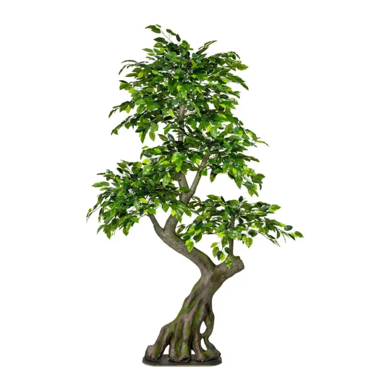 Preis Gesenkt Künstlicher Ficus Benjamini, Höhe ca. 170 cm