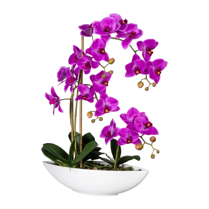 Künstliche Orchidee, Phalaenopsis, lila Höhe ca. 60 cm Nur Heute
