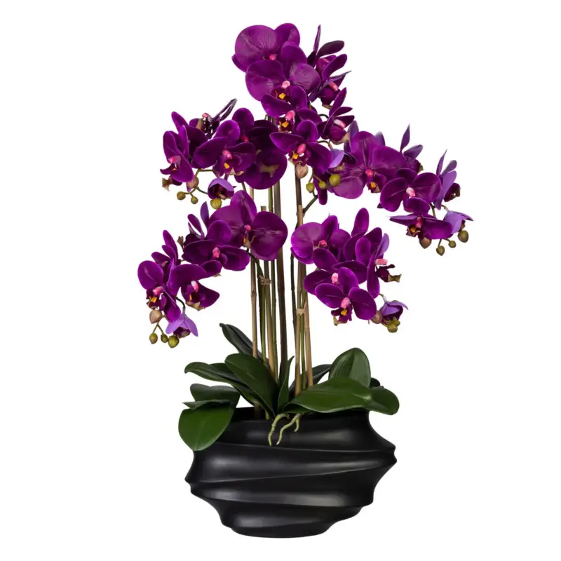 Künstliche Orchidee, Phalaenopsis, lila, Höhe ca. 75 cm Aktuell