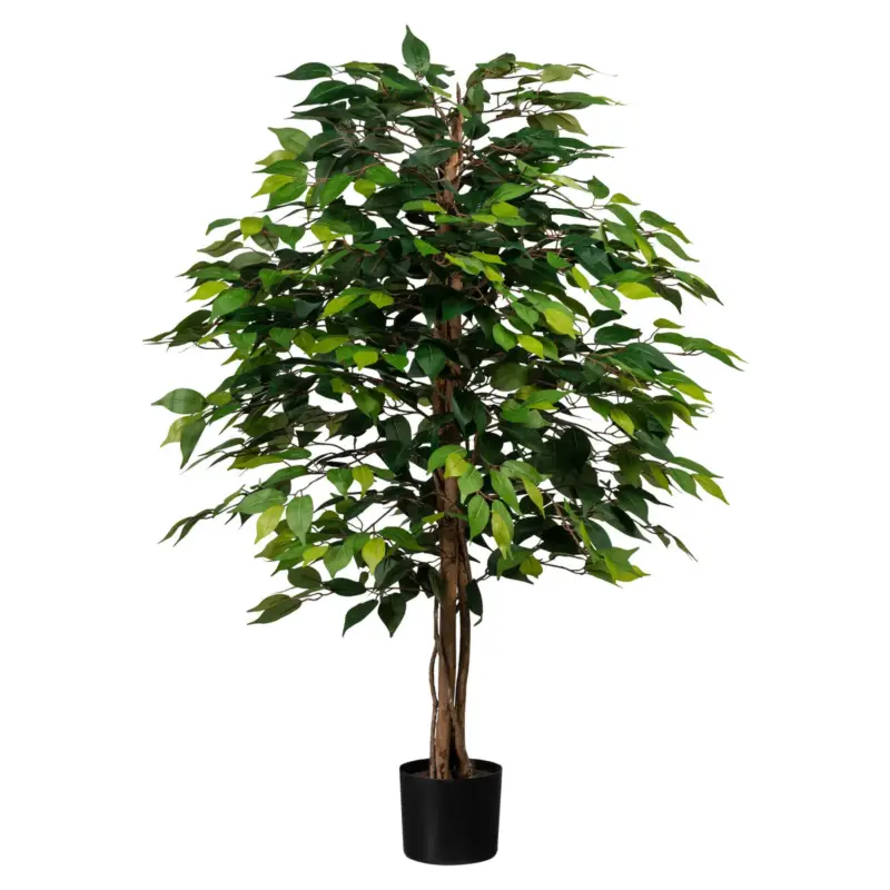 Künstliche Birkenfeige 'Ficus benjamini', Höhe ca. 120 cm Jetzt Bestellen