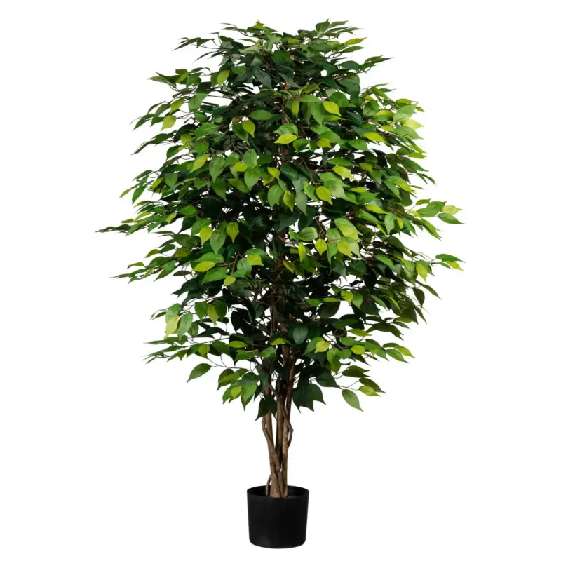 Künstliche Birkenfeige 'Ficus benjamini', Höhe ca. 150 cm Finale Aktion