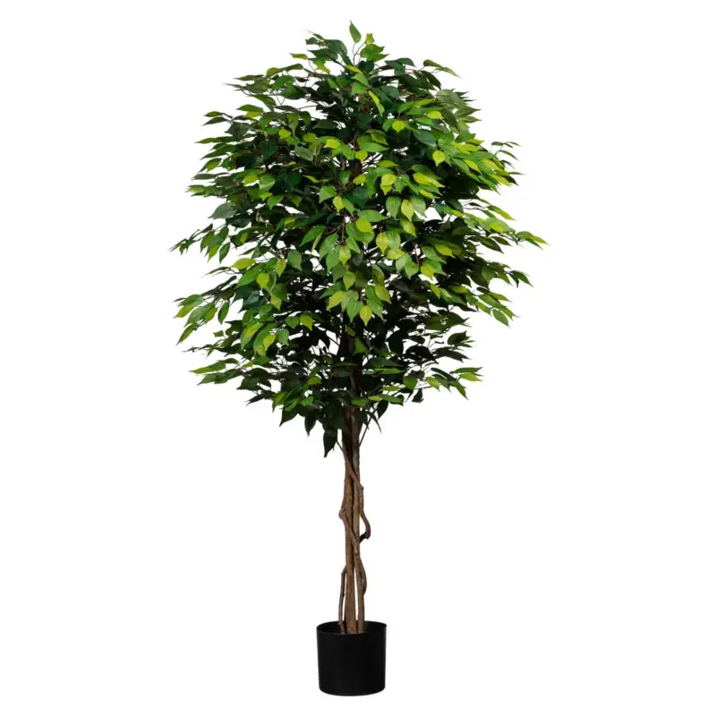 Rabatt Künstliche Birkenfeige 'Ficus benjamini', Höhe ca. 180 cm